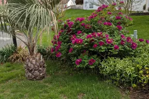 5 Biltmore Ct, Wilmington, DE 19808 - Photo 40