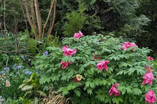 5 Biltmore Ct, Wilmington, DE 19808 - Photo 48