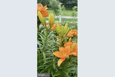 510 Cilantro Court, Middletown, DE 19709 - Photo 50