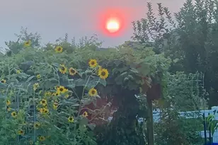 510 Cilantro Ct, Middletown, DE 19709 - Photo 44