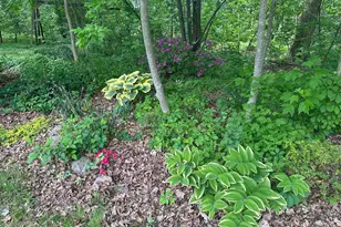 1414 Jan Dr, Wilmington, DE 19803 - Photo 36