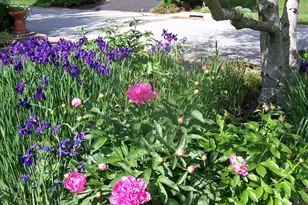 28 Harris Cir, Newark, DE 19711 - Photo 40