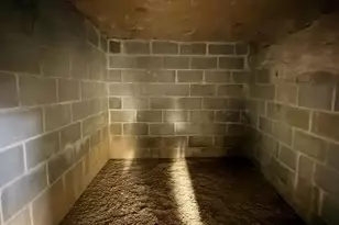 1101 Webster Dr, Wilmington, DE 19803 - Photo 54