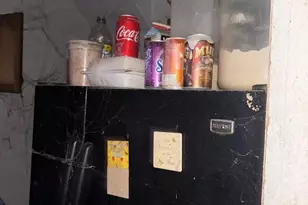 209 E 25th St, Wilmington, DE 19802 - Photo 38