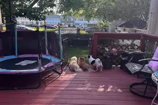 207 Birch Ave, Wilmington, DE 19805 - Photo 36