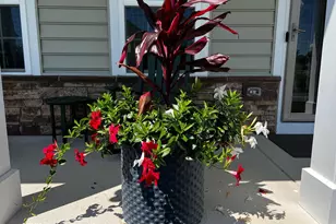 95 Hempstead Dr, Newark, DE 19702 - Photo 72