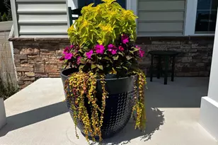 95 Hempstead Dr, Newark, DE 19702 - Photo 68