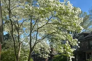 505 W 19th St, Wilmington, DE 19802 - Photo 34