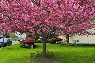 8 Lochview Dr, Bear, DE 19701 - Photo 44