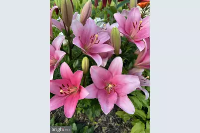 8 Lochview Drive, Bear, DE 19701 - Photo 42