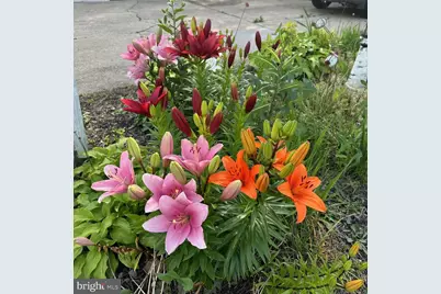 8 Lochview Drive, Bear, DE 19701 - Photo 40