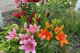 8 Lochview Dr, Bear, DE 19701 - Photo 40