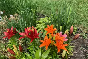 8 Lochview Dr, Bear, DE 19701 - Photo 38