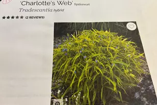 6 Bradley Cir, Middletown, DE 19709 - Photo 62