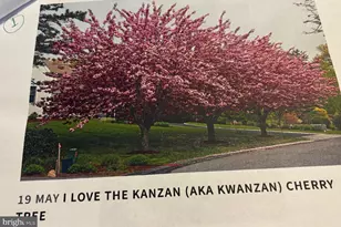 6 Bradley Cir, Middletown, DE 19709 - Photo 56