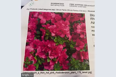 6 Bradley Circle, Middletown, DE 19709 - Photo 64