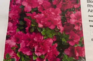 6 Bradley Cir, Middletown, DE 19709 - Photo 64