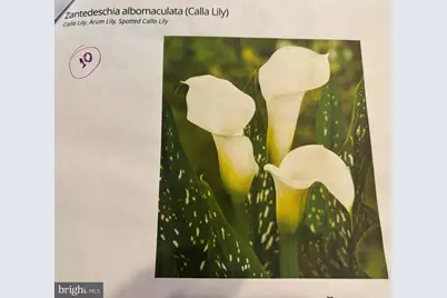 6 Bradley Circle, Middletown, DE 19709 - Photo 58