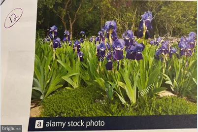 6 Bradley Circle, Middletown, DE 19709 - Photo 60