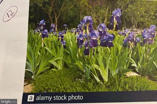 6 Bradley Cir, Middletown, DE 19709 - Photo 60