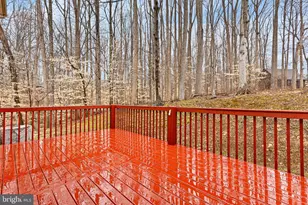 4 Clear Spring Ln, Newark, DE 19711 - Photo 38