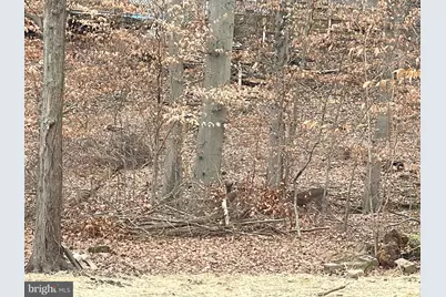 43 The Horseshoe, Newark, DE 19711 - Photo 32