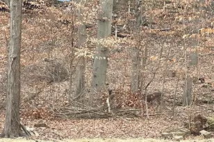 43 The Horseshoe, Newark, DE 19711 - Photo 32