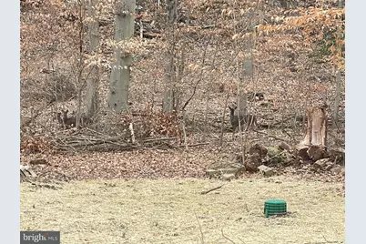 43 The Horseshoe, Newark, DE 19711 - Photo 34