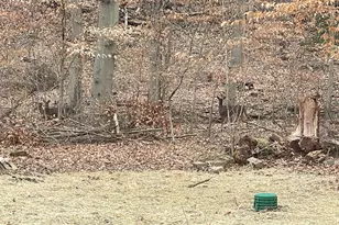 43 The Horseshoe, Newark, DE 19711 - Photo 34