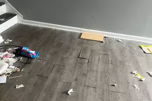 1017 N Pine St, Wilmington, DE 19801 - Photo 12