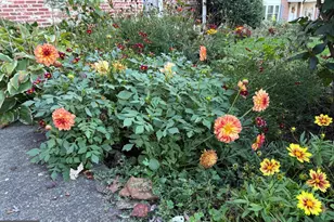 105 Chapel Hill Dr, Newark, DE 19711 - Photo 46