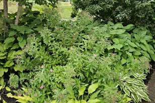 102 Laurel Ave, Wilmington, DE 19809 - Photo 46