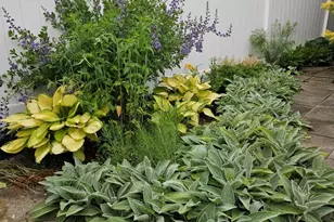 102 Laurel Ave, Wilmington, DE 19809 - Photo 44