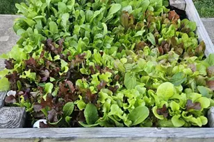 102 Laurel Ave, Wilmington, DE 19809 - Photo 44