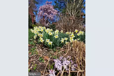 216 Orchard Road, Newark, DE 19711 - Photo 76