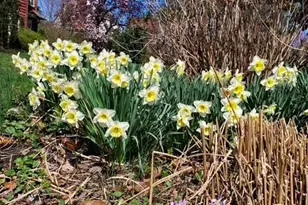 216 Orchard Rd, Newark, DE 19711 - Photo 76