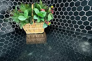 310 W 31st St, Wilmington, DE 19802 - Photo 8