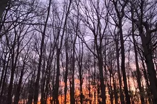 710 Fox Chase Cir, Bear, DE 19701 - Photo 54