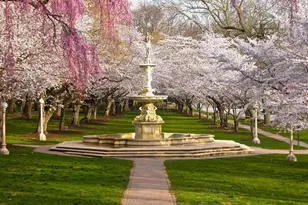 2400 Baynard Blvd, Wilmington, DE 19802 - Photo 28