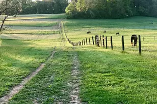 2400 Baynard Blvd, Wilmington, DE 19802 - Photo 48