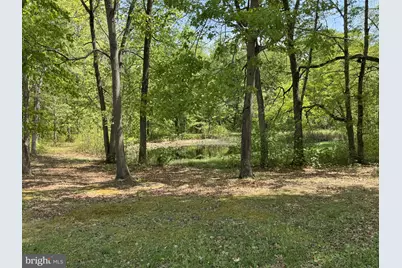 174 Pine Tree Road, Townsend, DE 19734 - Photo 74