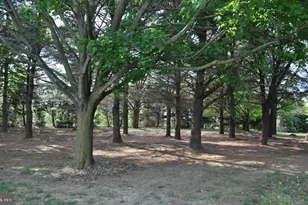 626 Vance Neck Rd, Middletown, DE 19709 - Photo 74