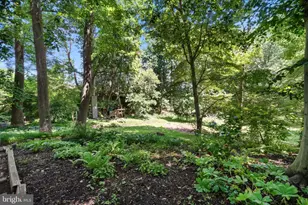 22 Stonebridge Dr, Hockessin, DE 19707 - Photo 50