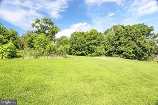 10 Elm Ave, Newark, DE 19711 - Photo 28