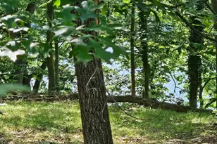 59A Yutan Ln, Earleville, MD 21919 - Photo 2