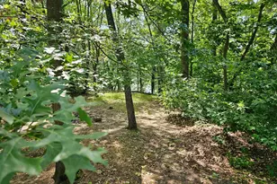 59A Yutan Ln, Earleville, MD 21919 - Photo 8