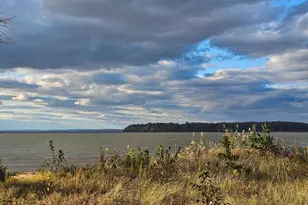 82 Basin Rd, Earleville, MD 21919 - Photo 8