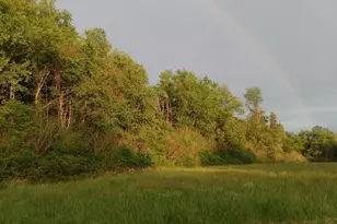 25 Beech St, North East, MD 21901 - Photo 32