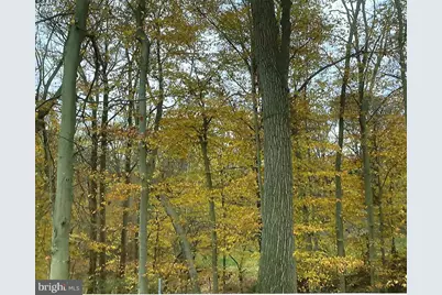 84 N Edgewood Drive, Elkton, MD 21921 - Photo 6