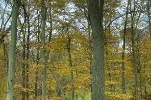 84 N Edgewood Dr, Elkton, MD 21921 - Photo 6